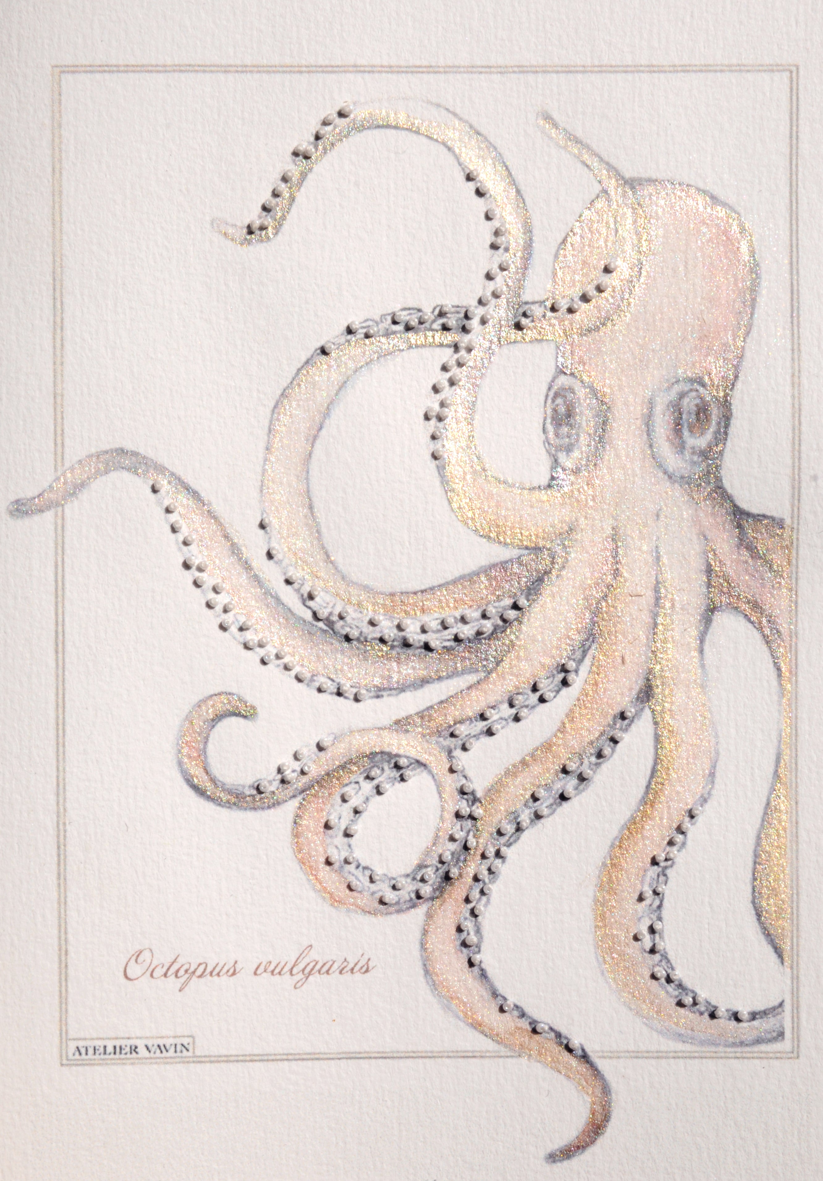 Cahier brodé « Octopus vulgaris»